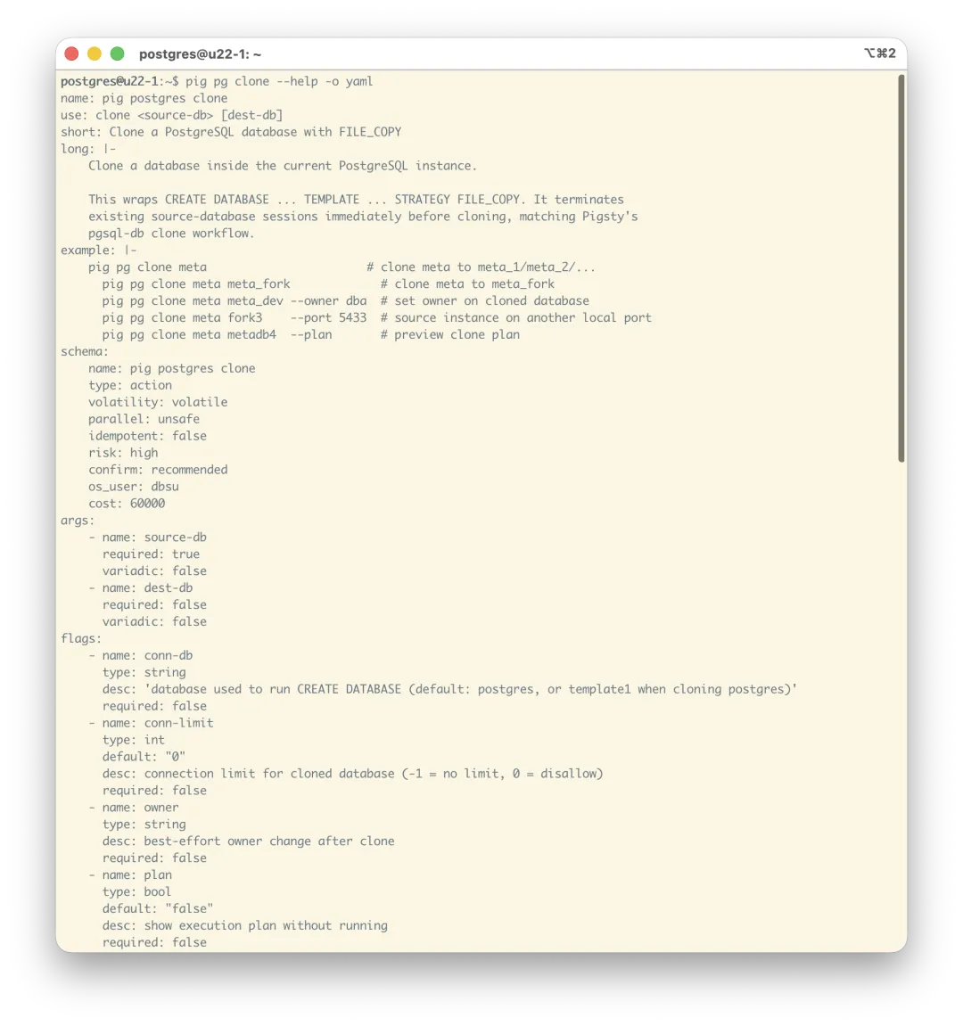 Structured help from pig pg clone